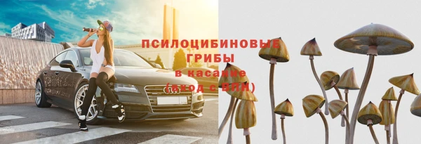 сатива Приозерск