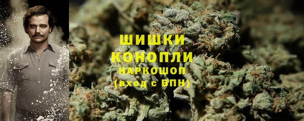 МДПВ Богородицк