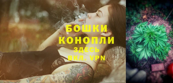 МДПВ Богородицк